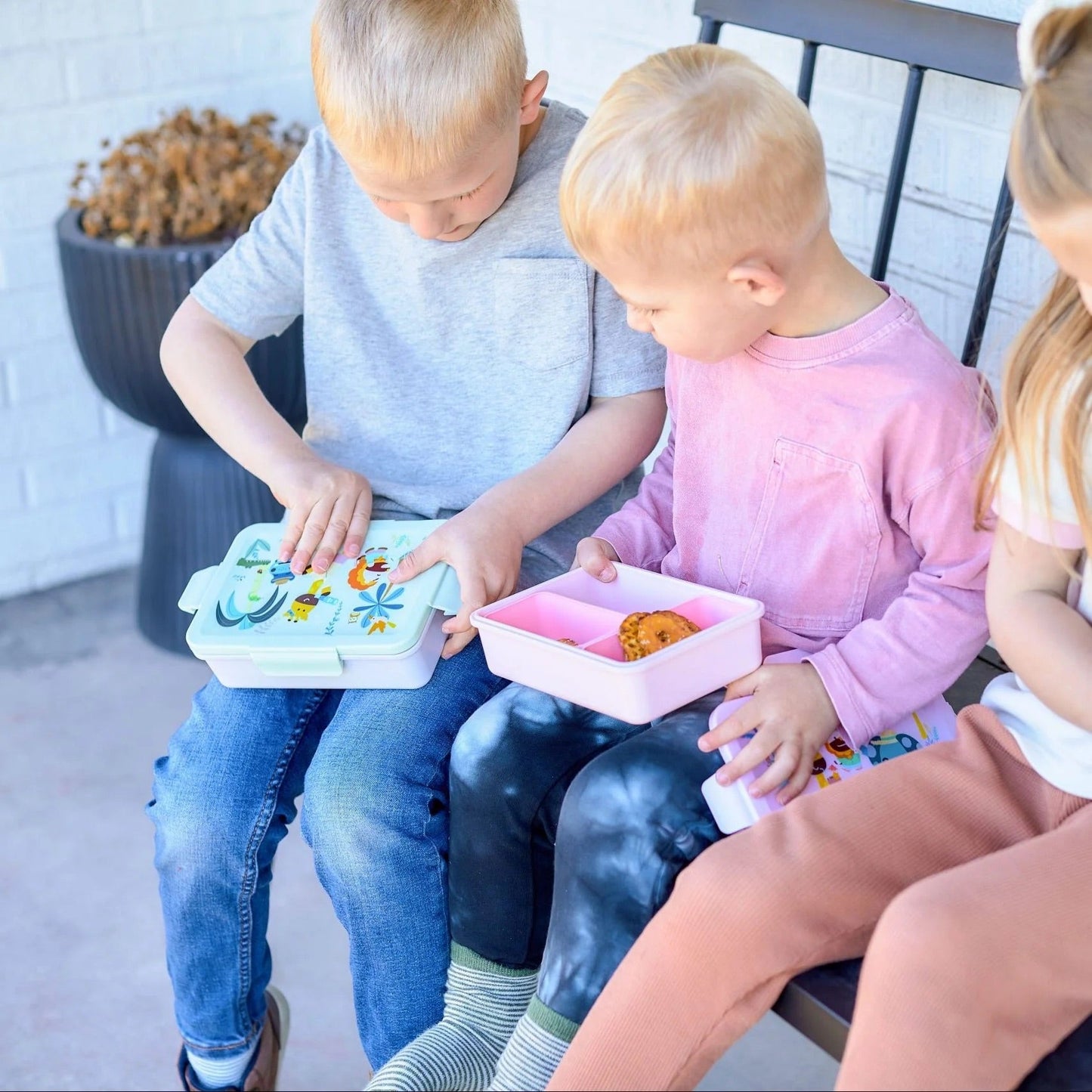 ماركوس وماركوس - صندوق بينتو | سي لايف