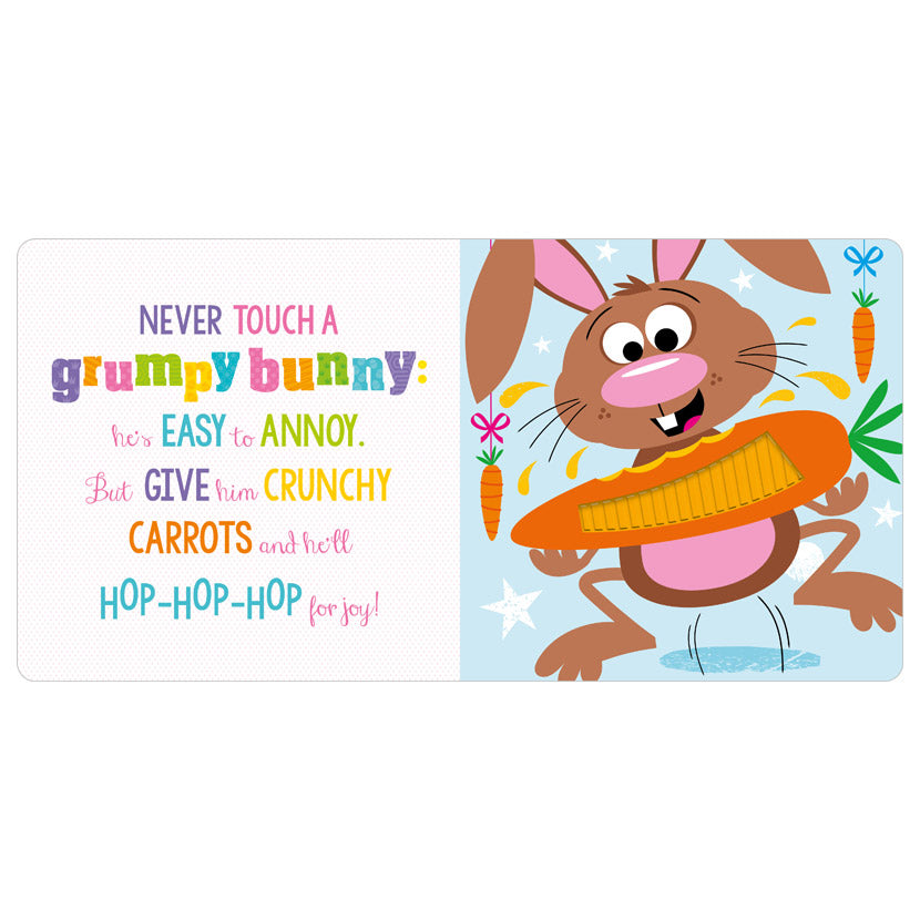 Never Touch a Grumpy Bunny! 0-2 Years