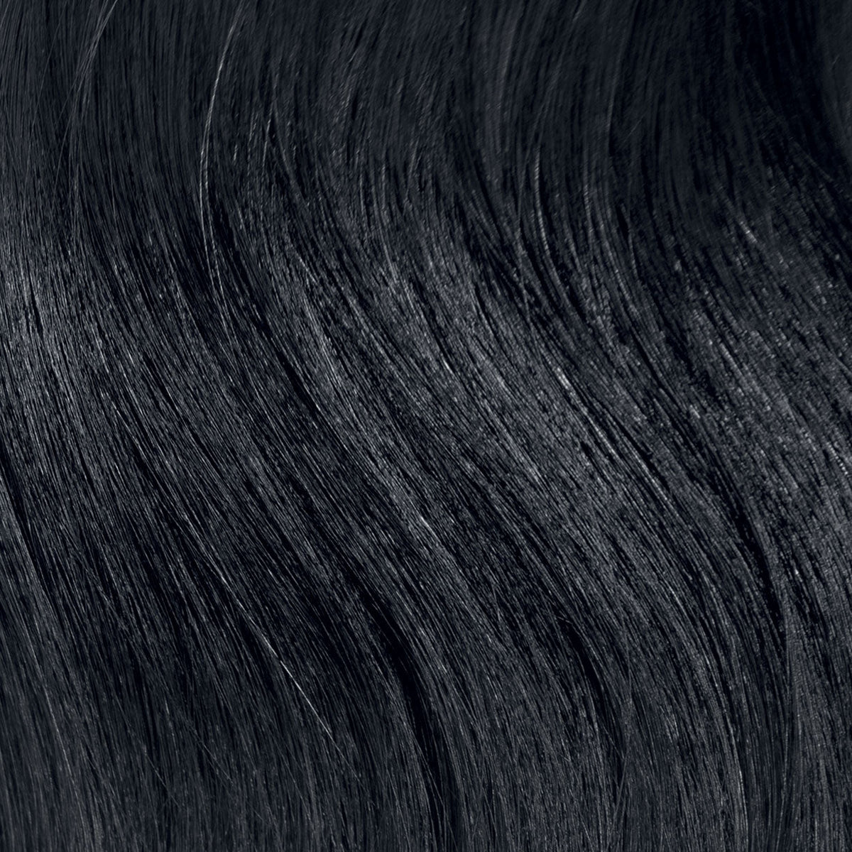 Herbatint 1N Black hair colour swatch