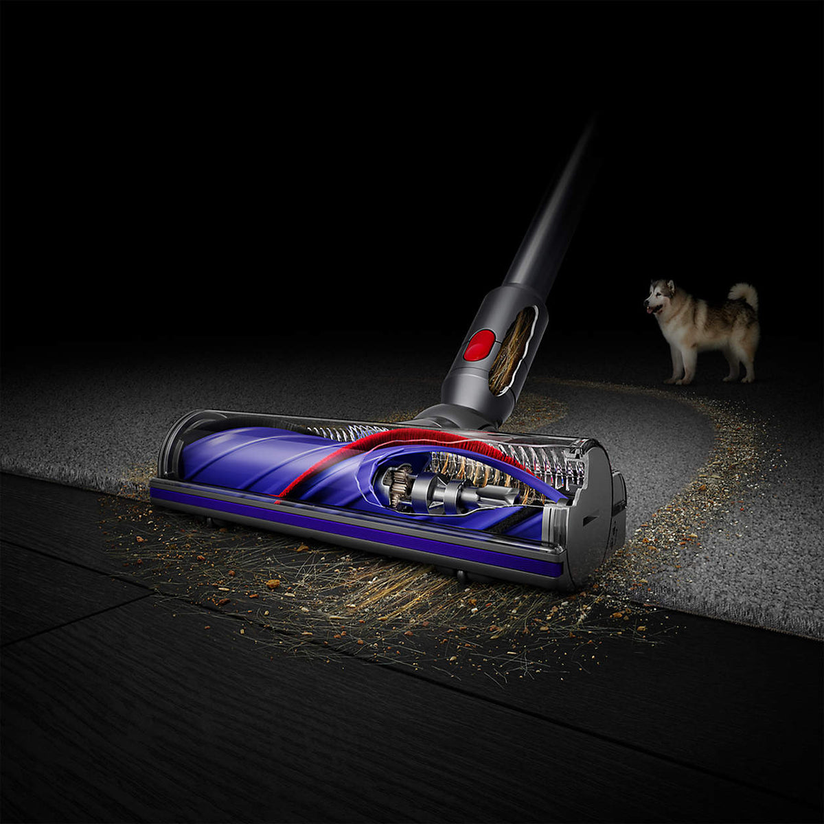 Dyson - V8 Cordless Vacuum 115 AW 0.5 L 40 Minutes Run Time — BambiniJO Jordan