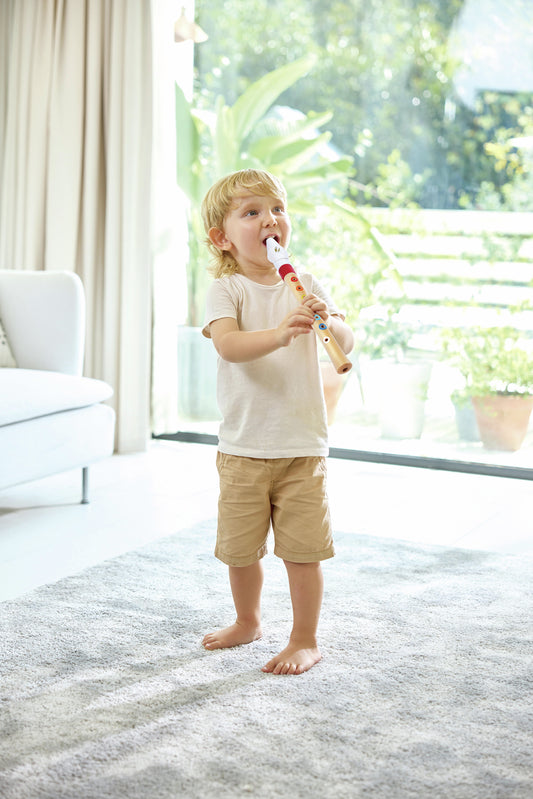 Hape Mini Musician's Starter Recorder with music book — BambiniJO Jordan