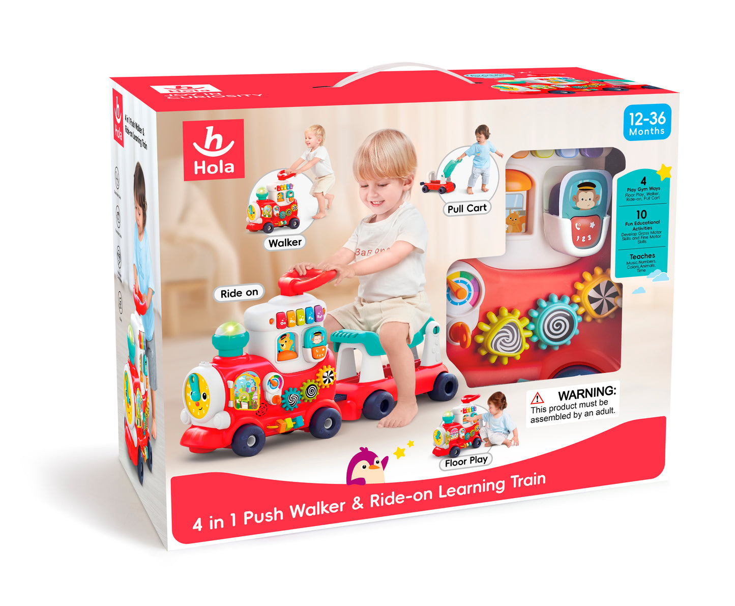 HOLA - 4-in-1 Push Walker & Ride-on Learning Train