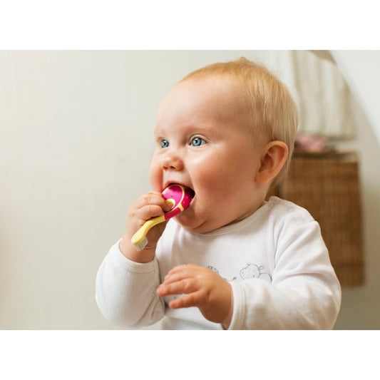 Jordan Toothbrush Step 1 0-2Y — BambiniJO Jordan