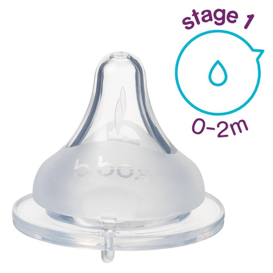 BBox - 2 Pack Anti-Colic Teat Stage 1 0m+ — BambiniJO Jordan