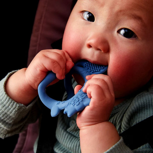 b.box Twist Teether for babies — BambiniJO Jordan