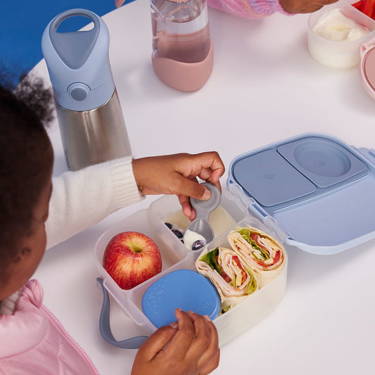 BBox - Mini Lunchbox - Chill Out — BambiniJO Jordan