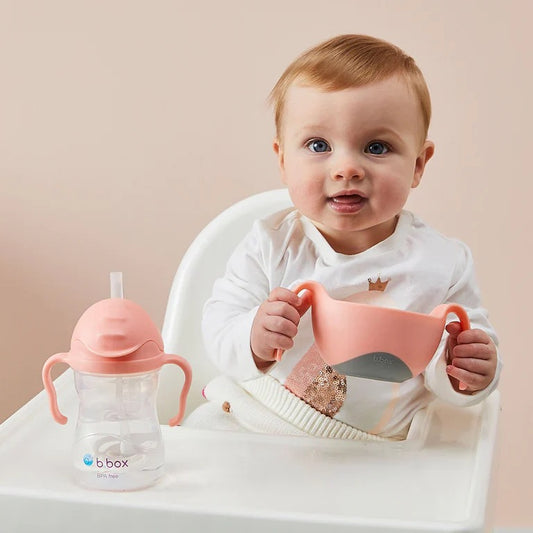 BBox - Bowl + Straw — BambiniJO Jordan