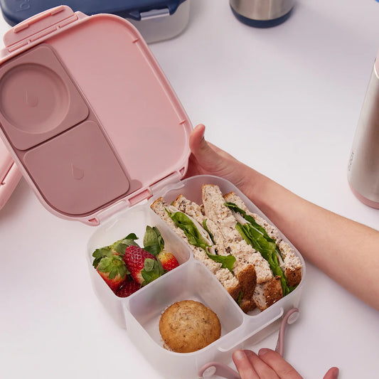 BBox - Lunchbox - Blush Crush — BambiniJO Jordan