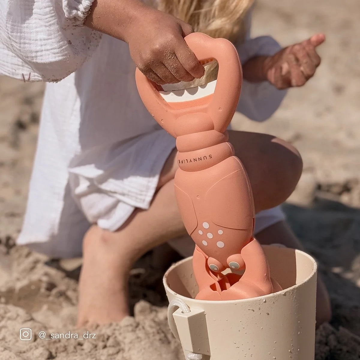 صني لايف - مخالب رملية | مرجان جراد البحر