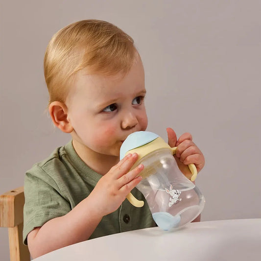 BBox - Sippy Cup 240ml Looney Tunes — BambiniJO Jordan