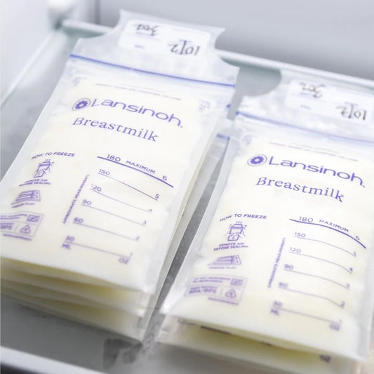 Lansinoh Breast Milk Storage Bags 25pcs — BambiniJO Jordan