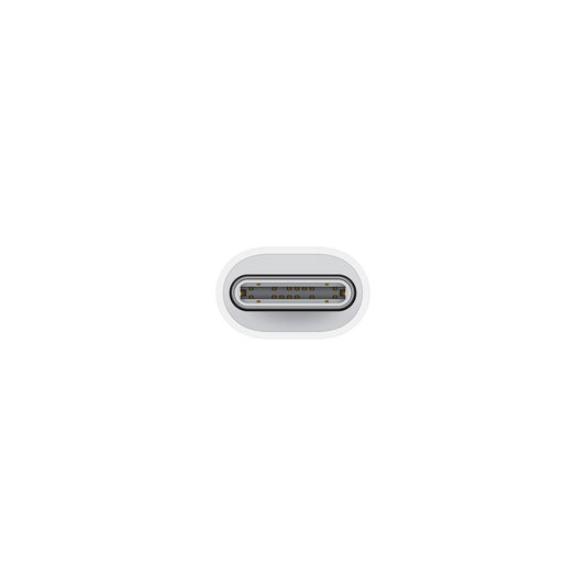 Apple USB-C to Lightning Adapter — BambiniJO Jordan