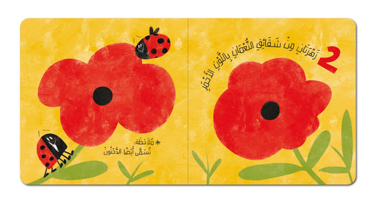 Kalila Wa Dimna حقل الأزهار — BambiniJO Jordan