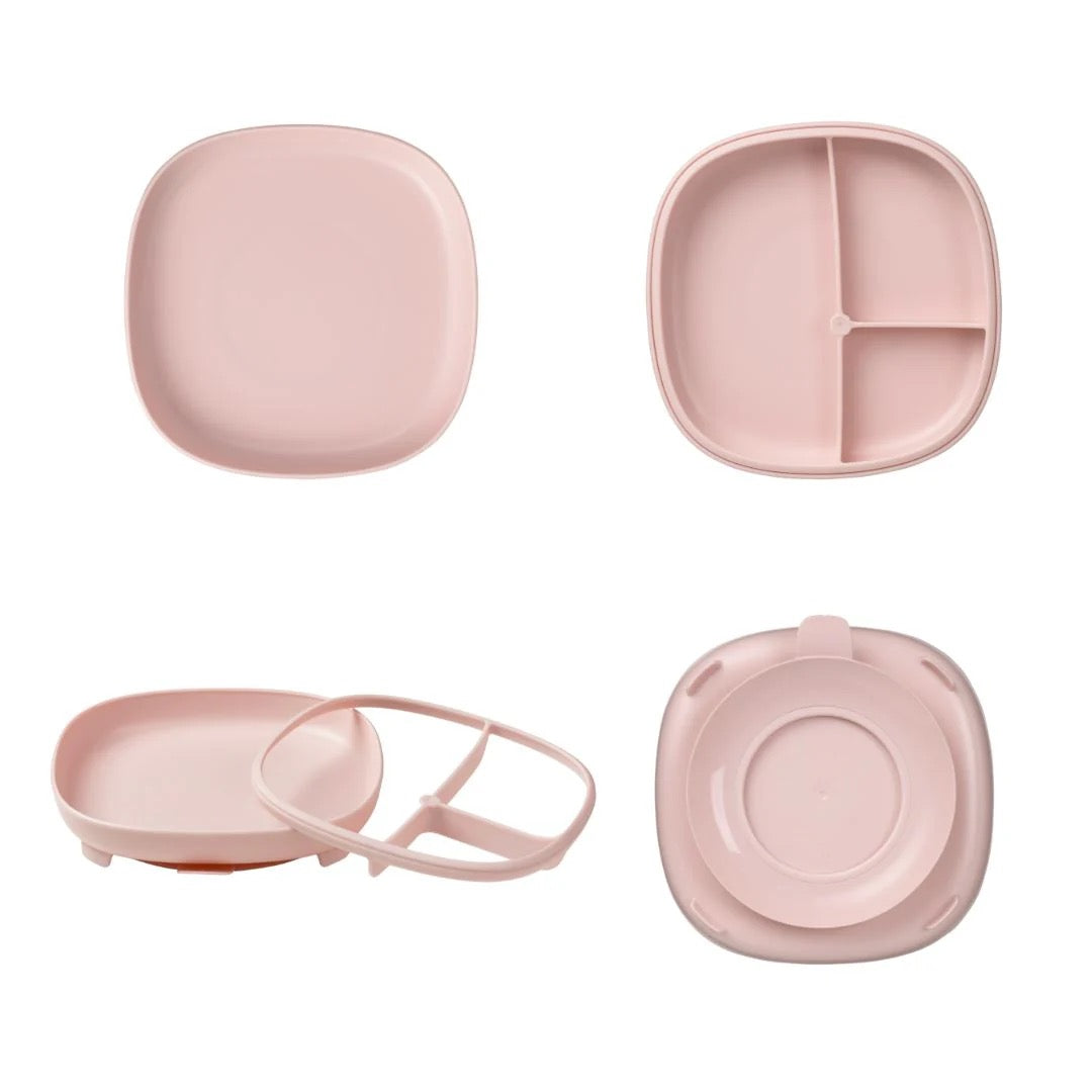 BBox - 2 in 1 Suction Plate with Divider | Sage