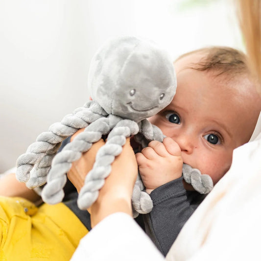 Nattou Cuddly Comforter Octopus — BambiniJO Jordan