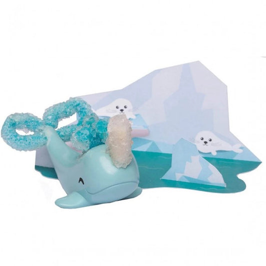 Klutz DIY Grow Your Own Crystal Narwhal 3-6Y — BambiniJO Jordan