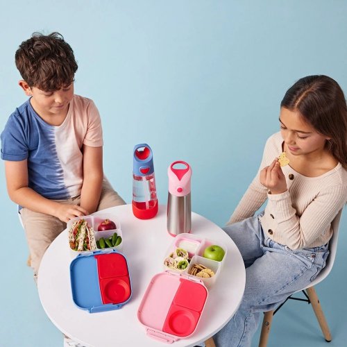 BBox - Mini Lunchbox - Flamingo Fizz — BambiniJO Jordan