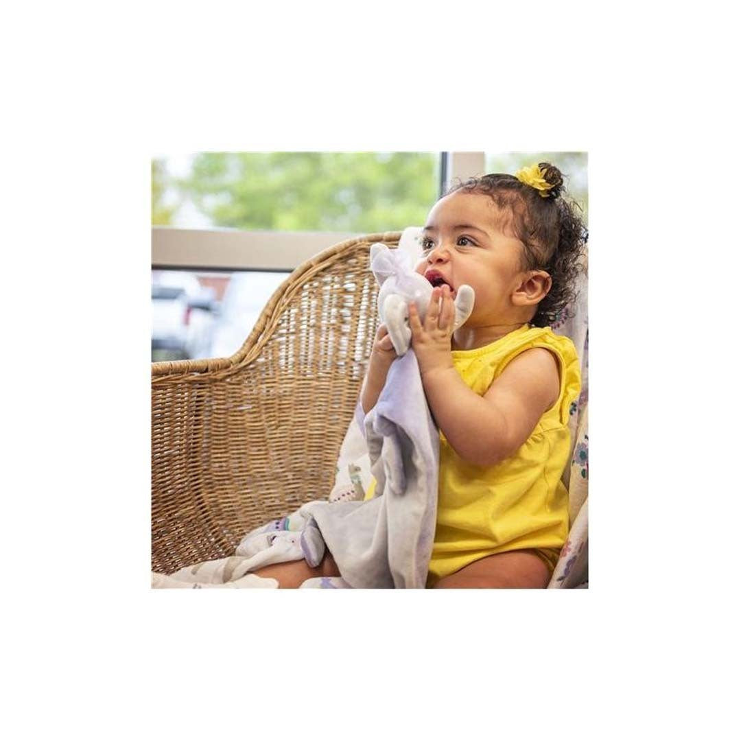 ستيفن جوزيف - لوفي | إيليفانت