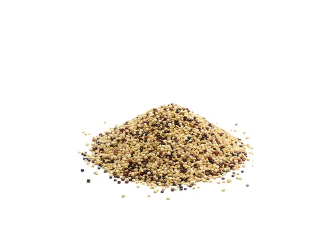 ORGANIC Tri Color Quinoa (737G) - BambiniJO