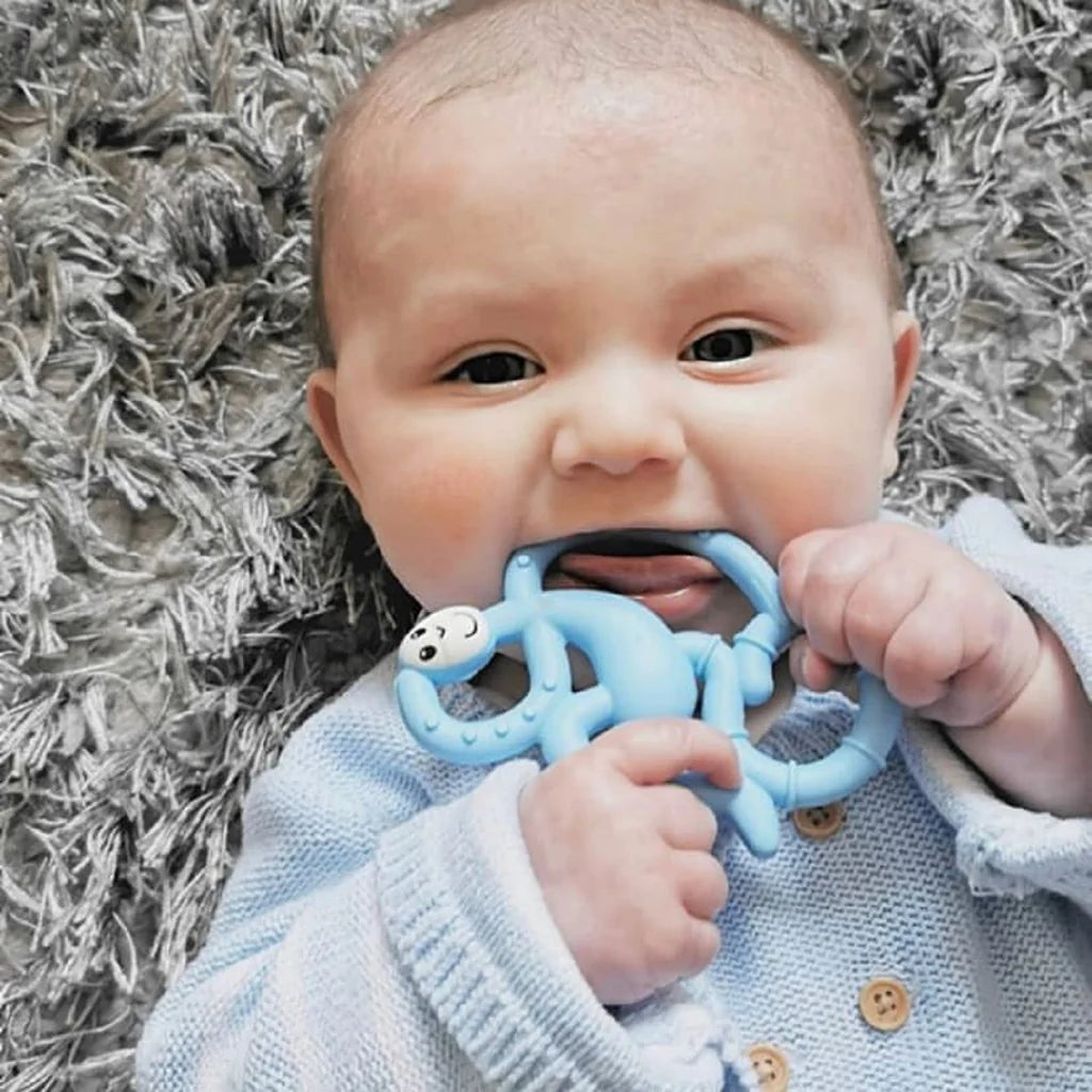 قرد أعواد الثقاب - عضاضة قرد صغيرة زرقاء