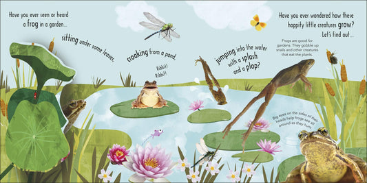 How Does a Frog Grow — BambiniJO Jordan