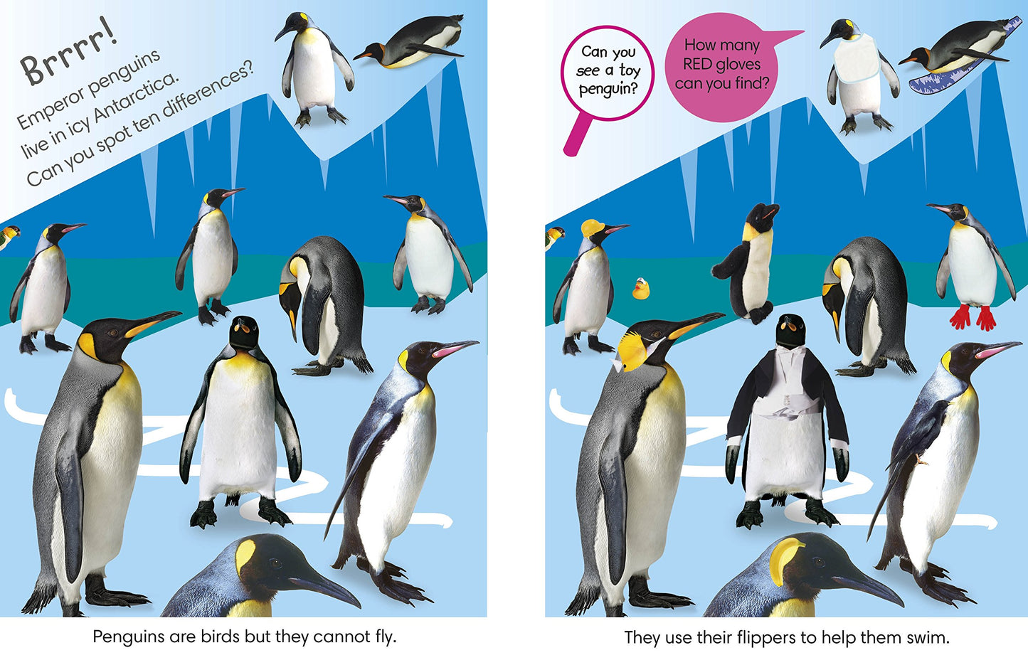 DK - Spot the Difference Animals - BambiniJO | Buy Online | Jordan