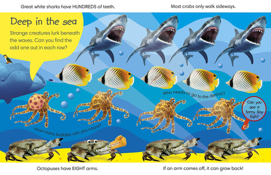 DK - Spot the Difference Animals — BambiniJO Jordan