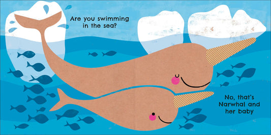 DK - Eco Baby Where Are You Polar Bear? — BambiniJO Jordan