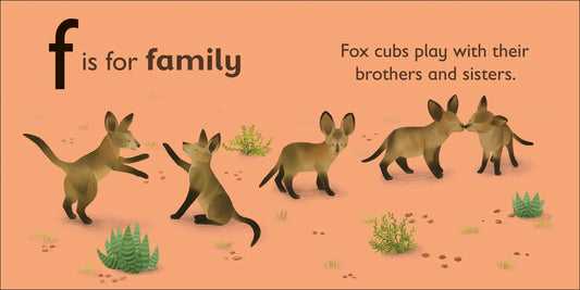 DK - F is for Fox — BambiniJO Jordan