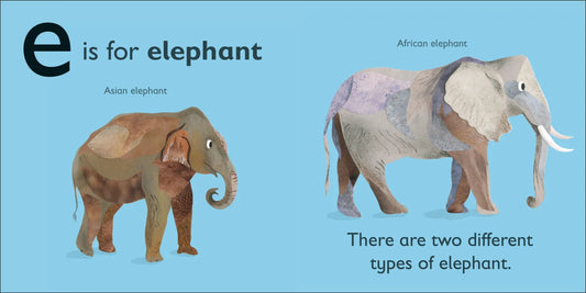 DK - E is for Elephant — BambiniJO Jordan