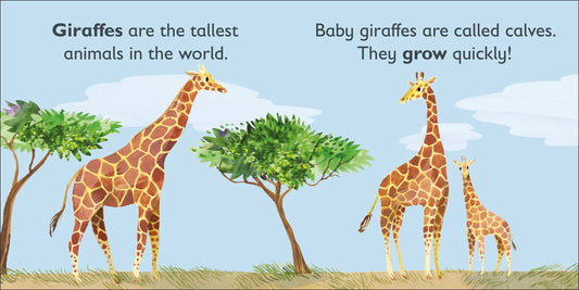 DK - G is for Giraffe — BambiniJO Jordan