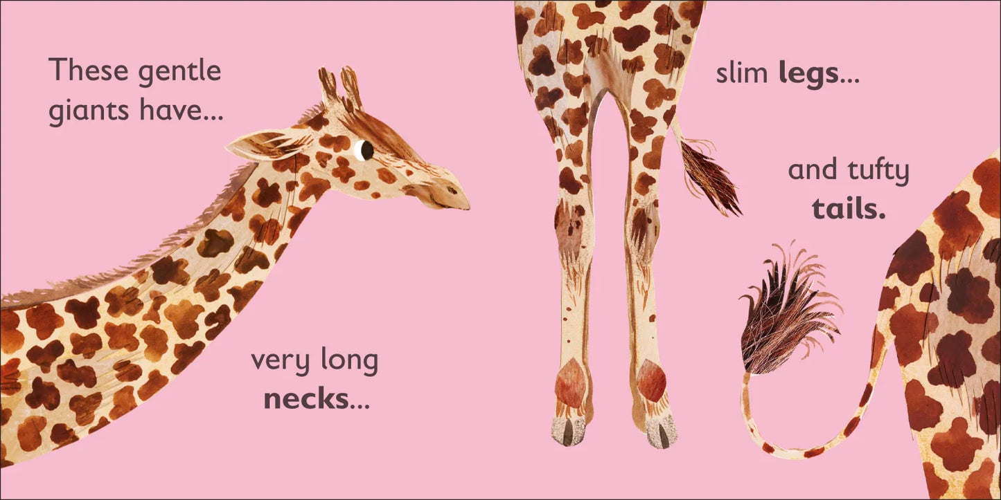 DK - G is for Giraffe - BambiniJO | Buy Online | Jordan