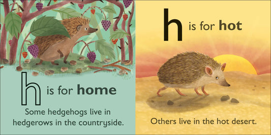 DK - H is for Hedgehog — BambiniJO Jordan