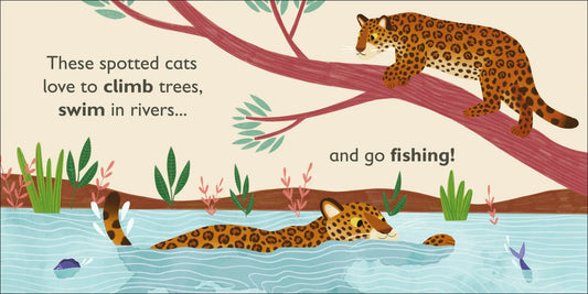 DK - J is for Jaguar — BambiniJO Jordan
