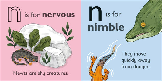 DK - N is for Newt — BambiniJO Jordan