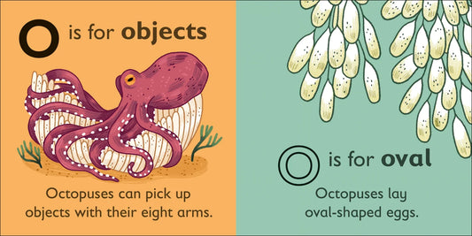 DK - O is for Octopus — BambiniJO Jordan