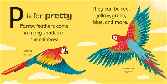 DK - P is for Parrot — BambiniJO Jordan