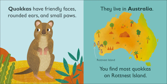 DK - Q is for Quokka — BambiniJO Jordan