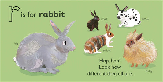DK - R is for Rabbit — BambiniJO Jordan