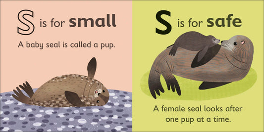 DK - S is for Seal — BambiniJO Jordan