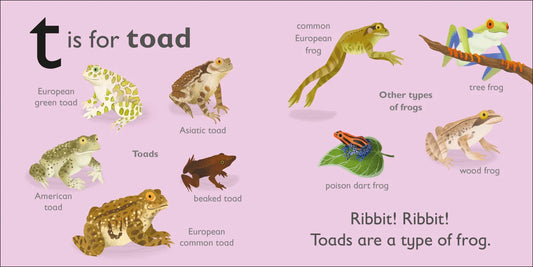 DK - T is for Toad — BambiniJO Jordan