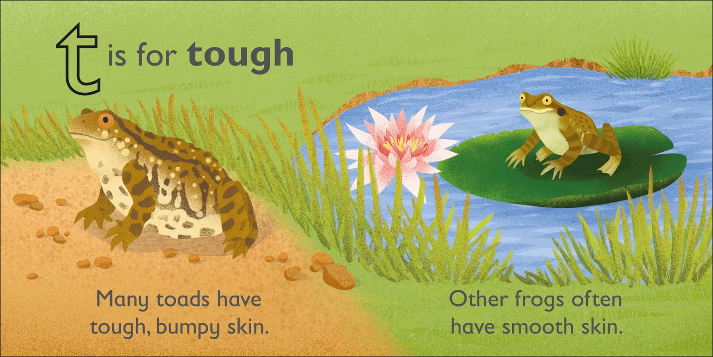 DK - T is for Toad - BambiniJO | Buy Online | Jordan