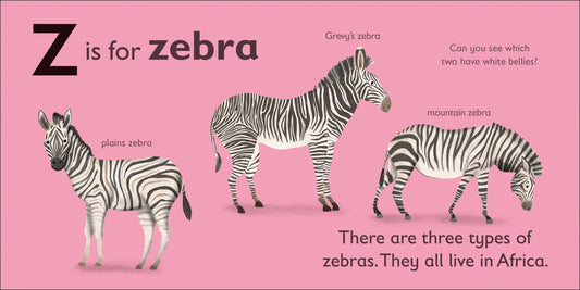DK - Z is for Zebra — BambiniJO Jordan