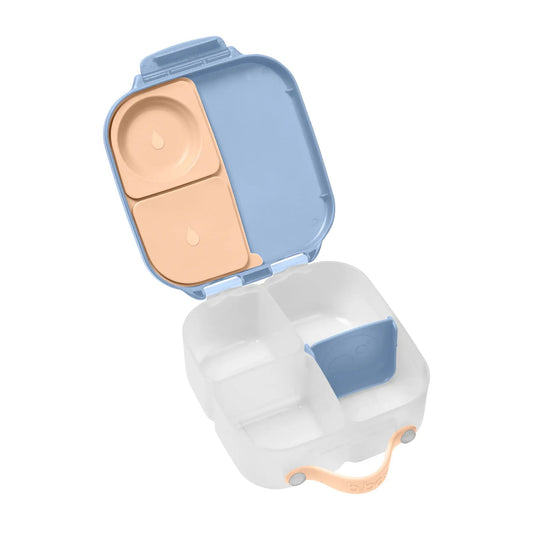BBox - Mini Lunchbox - Feeling Peachy — BambiniJO Jordan