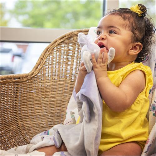 Stephen Joseph - Lovie | Rabbit - BambiniJO | Buy Online | Jordan