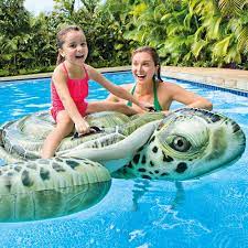 Intex - Realistic Sea Turtle Ride-On | Age 3+ — BambiniJO Jordan