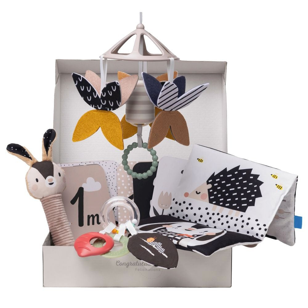 Taf Toys Newborn Black & White Kit 0-12M — BambiniJO Jordan