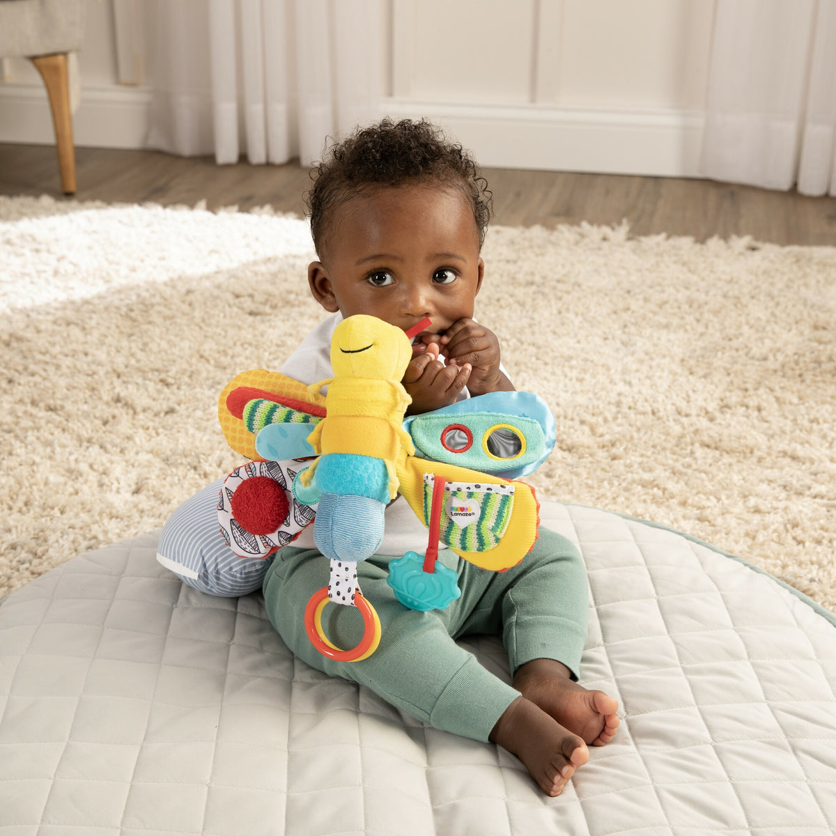 Lamaze Freddie the Firefly Clip & Go 0-12M — BambiniJO Jordan