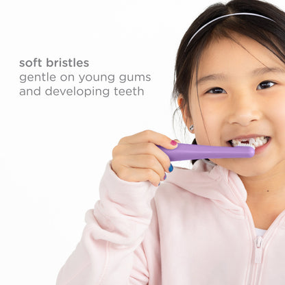 Ubbi Bristled Toddler Toothbrush 2 Pcs Purple / Green — BambiniJO Jordan