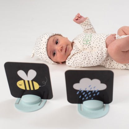 Taf Toys My 1st Tummy-Time Cards 0-12M — BambiniJO Jordan